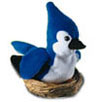 blue jay